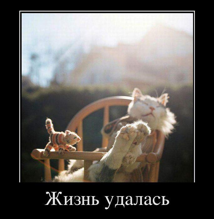 Жизнь удалась