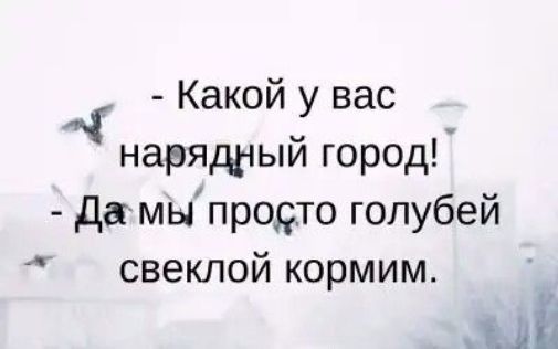 Какой у вас нарядный город да мыпродцто голубей свеклой кормим ыЁ