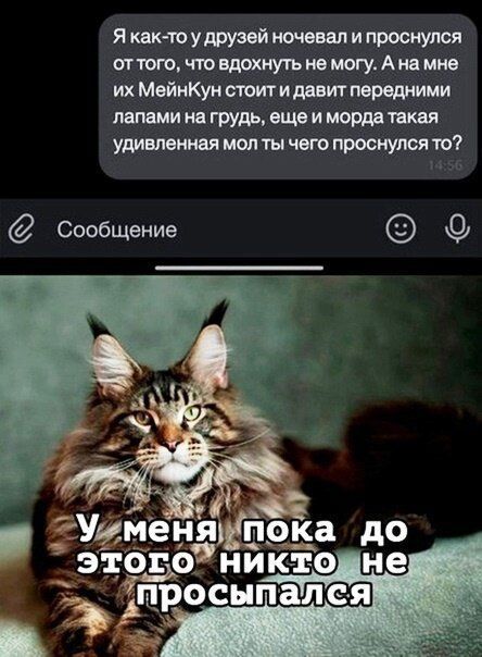 Якакчсудруэвйжввлипроснуіюя ипотжтовдрхнуьиемогуАнаш ихМейиКумсюигидавш переднт летними рудыщииордвташ ушмышмштычыппроснутяш Сообщение