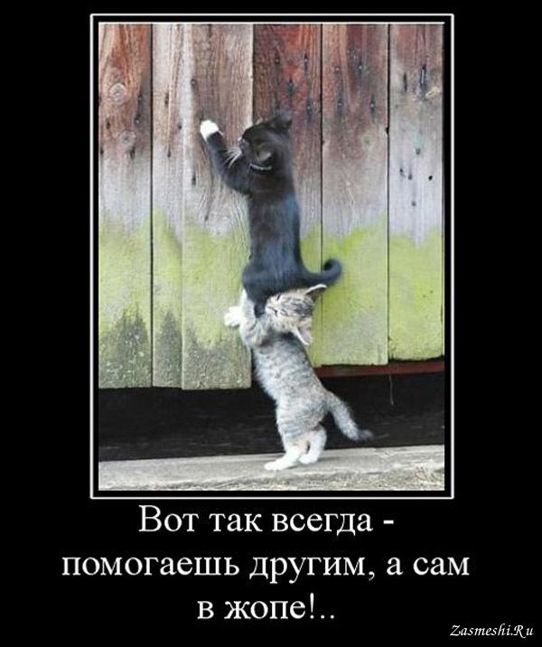 Вот так всегда на самом интересном месте картинка