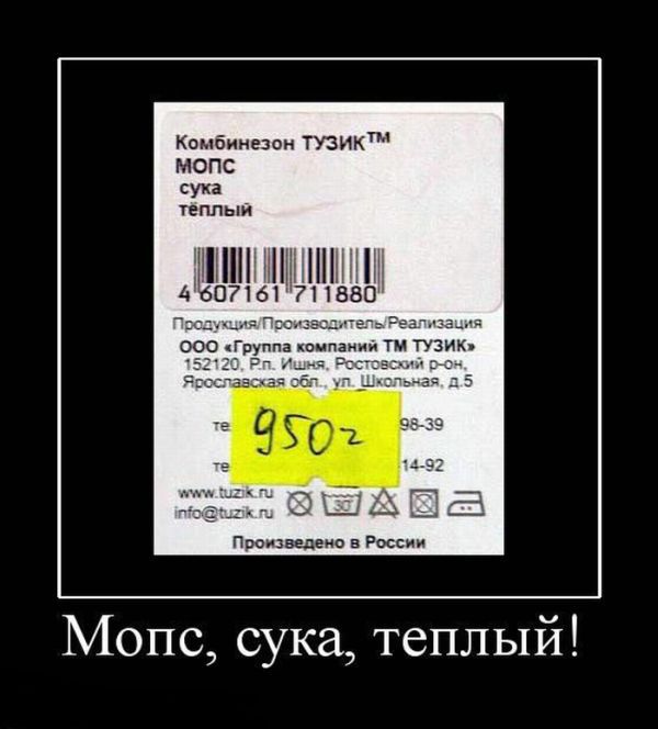 Кпмбинюои тик мопс сука пм 1ШПШН 4 07 71 вво Мопс сука теплый