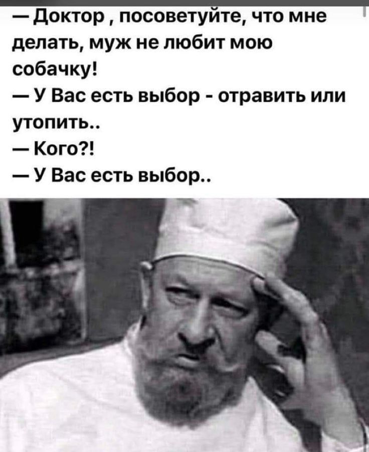 доктор посоветуите что мне делать муж не любит мою собачку У Вас есть выбор отравить или утопить Кого У Вас есть выбор