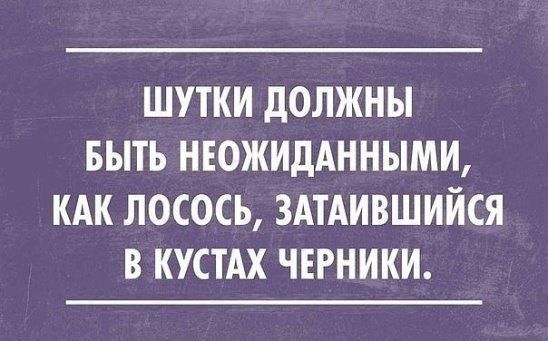 ШУТКИ дОЛЖНЫ БЫТЬ НЕОЖИДАННЫМИ КАК ЛОСОСЬ ЗАТАИВШИЙСЯ В КУСТАХ ЧЕРНИКИ