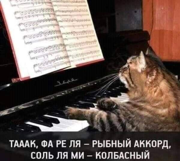 шин ФА РЕ пя рывный Аккорд соль ля ми колвдсный