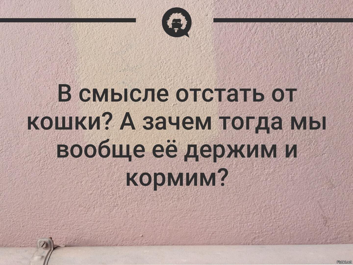 В смысле отстать от кошки А зачем тогда мы вообще её держим и кормим 7