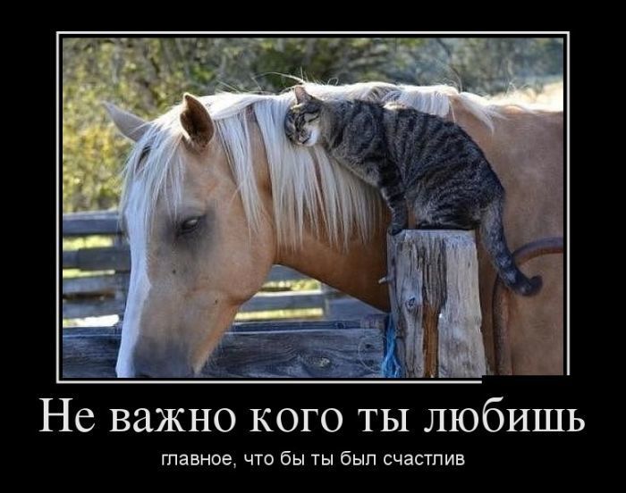Не важно КОГО ТЫ ЛЮбИШЬ таннов что Бы Еып счаспив