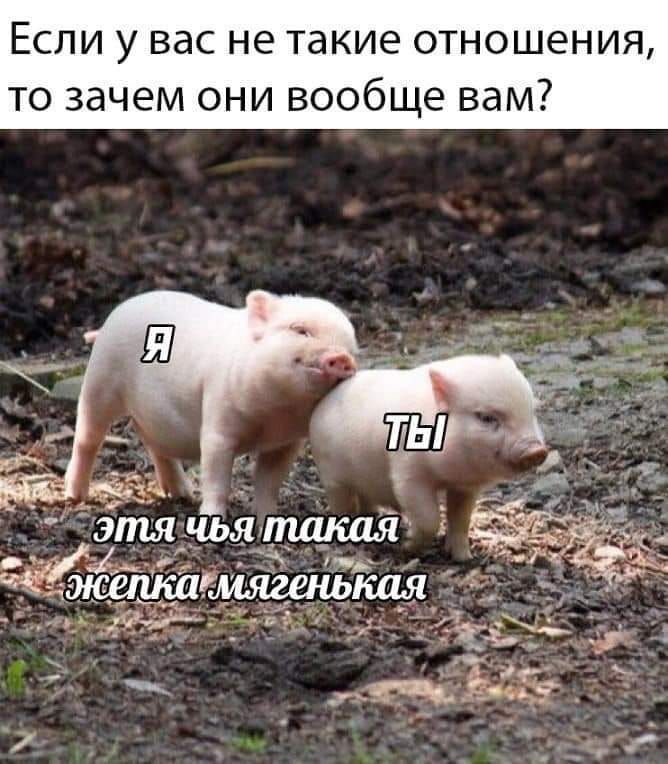 Если у вас не такие отношения то зачем они вообще вам