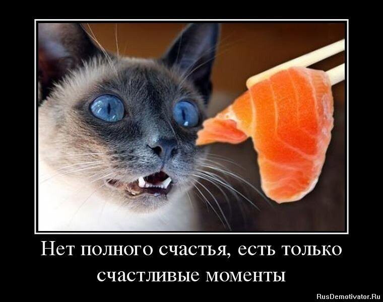 Пет полного счастья есть только счастшшые моменты п м