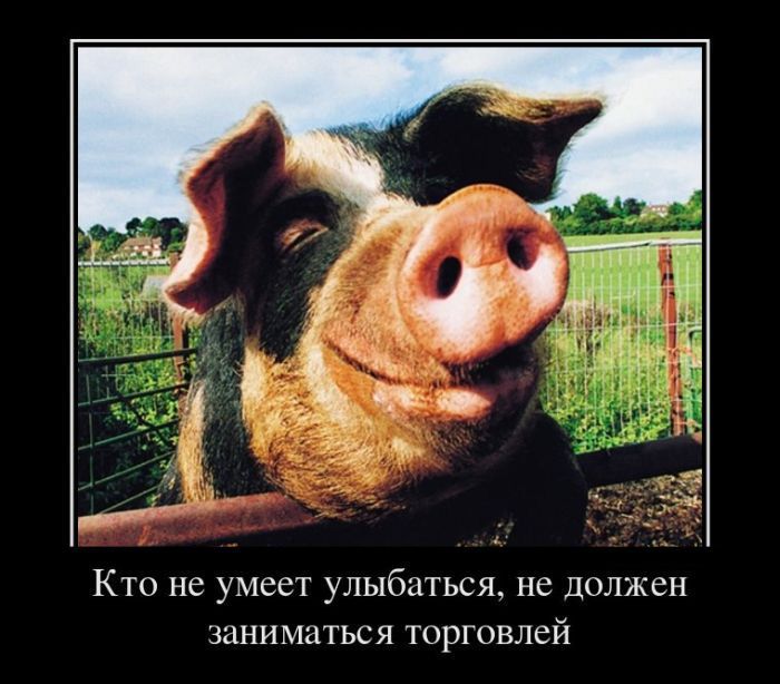 К не умеег улыбаться не дцпжен заниматься торговлей