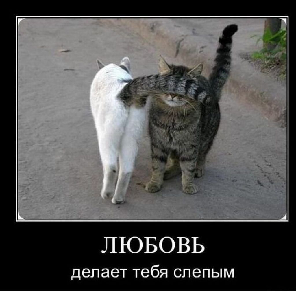 ЛЮБОВЬ делает Тебя слепым