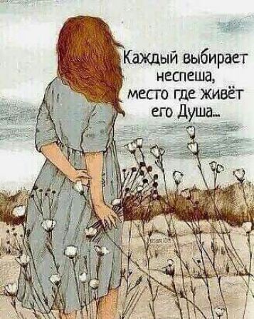 Каждый выбирает нешеша _ место где живёт