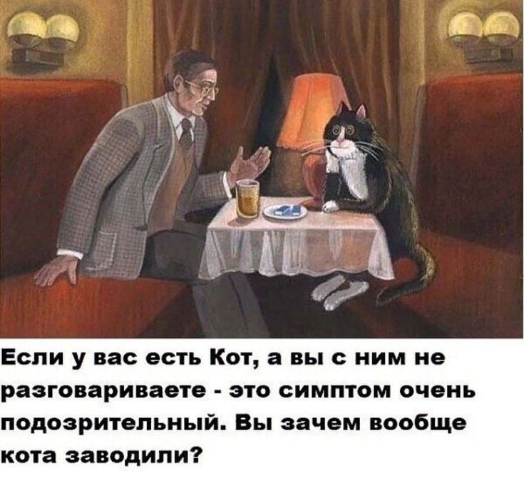 Если у вас есть Кот а выс ним на разговариваете это симптом очень подозритвпьиый Вы зачем вообще кота заводили