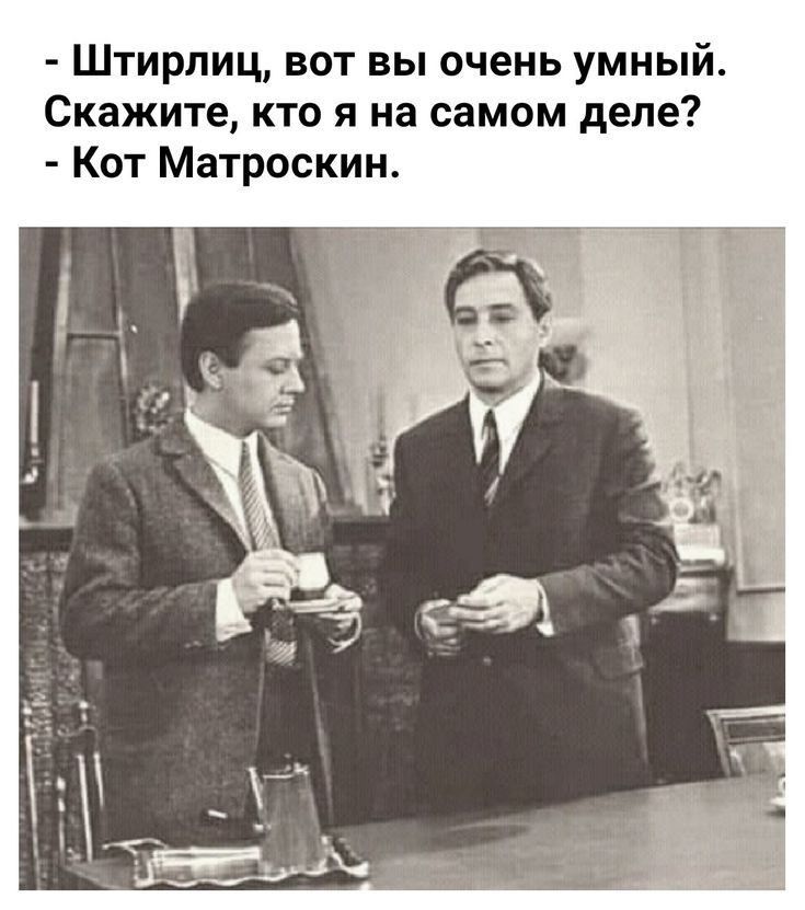 Штирлиц вот вы очень умный Скажите кто я на самом деле Кот Матроскин