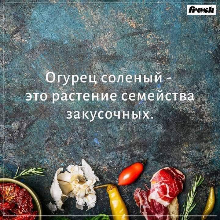 Ъгурец лены это растепие семейст закусочных
