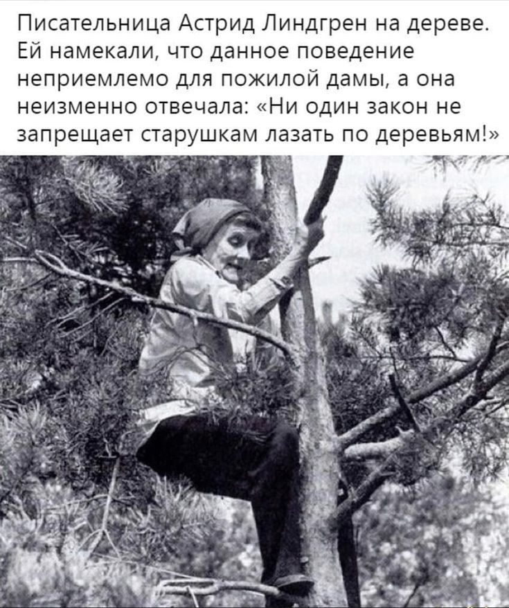 Писательница Астрид Линдгрен на дереве Ей намекали что данное поведение неприемлемо для пожилой дамы а она неизменно отвечала Ни один закон не запрещает старушкам лазать по деревьям __ _