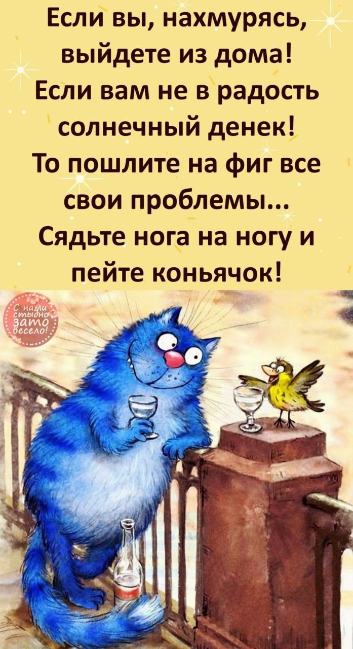 Если вы нахмурясь выйдете из дома Если вам не врад6сть солнечный денек То пошлите на фиг все свои проблемы Сядьте нога на ногу и пейте коны_чок