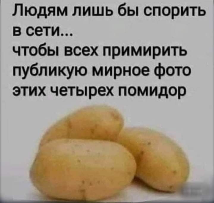 Людям лишь бы спорить в сети чтобы всех примирить публикую мирное фото этих четырех помидор