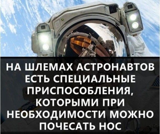 ЕСТЬ СПЕЦИАЛЬНЫЕ ПРИСПОСОБЛЕНИЯ КОТОРЫМИ ПРИ НЕОБХОДИМОСТИ МОЖНО ПОЧЕСАТЬ НОС