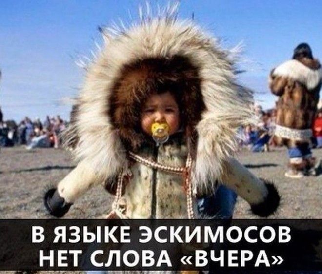 вязыкв эскиМосов НЕТ СОВА ВЧЕРА