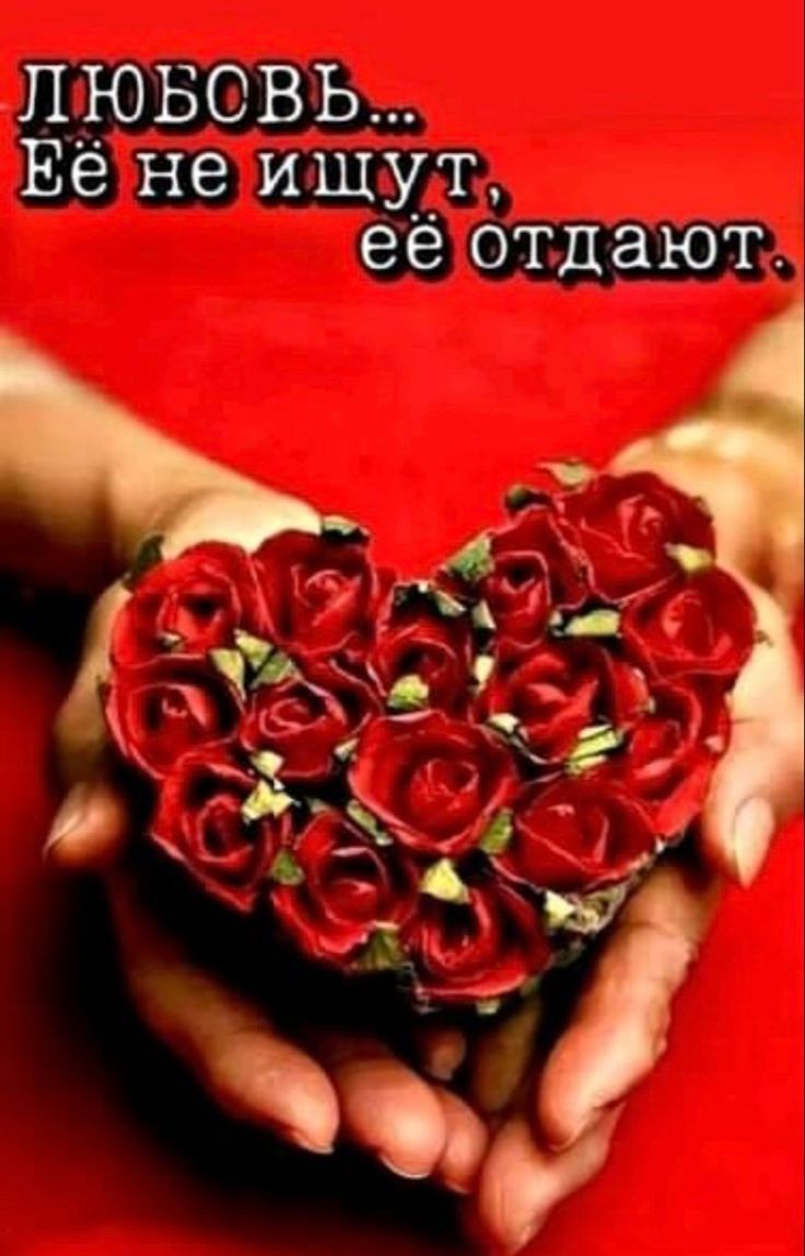 ЛЮБОВЬ Её не ищут её отдают