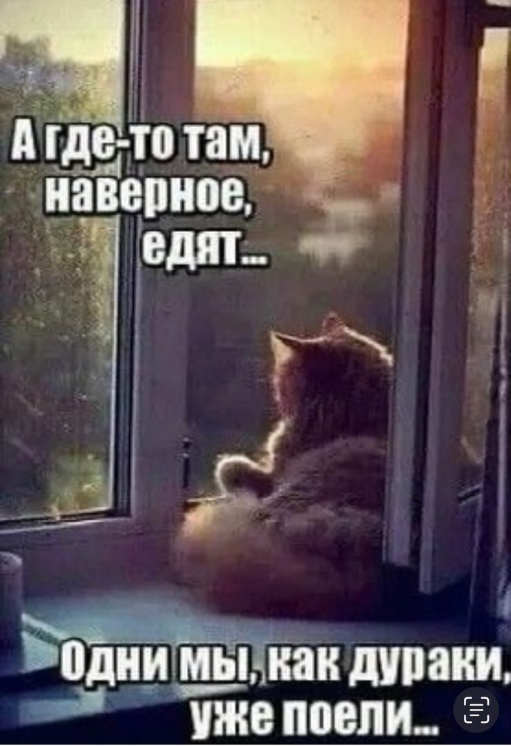 одни мы на дураки Тийе поели