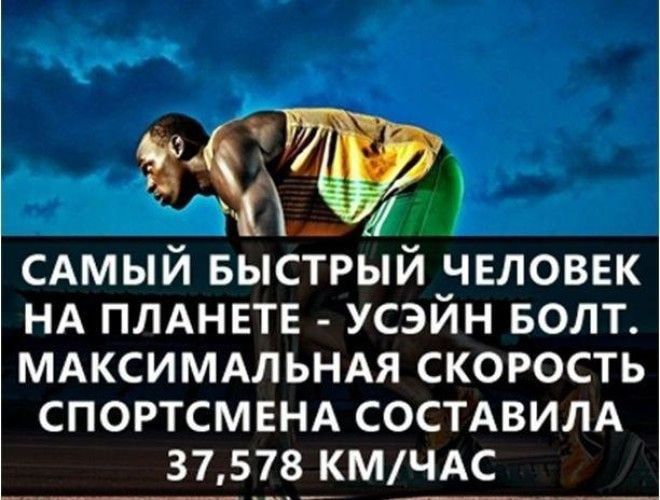 хдд 71 САМЫЙ БЫСТРЫЙ человвк НА плднвтв усэйн БОЛТ мдксимдльндя скорость СПОРТСМЕНА СОСТАВИЛА 37578 КМЧАС