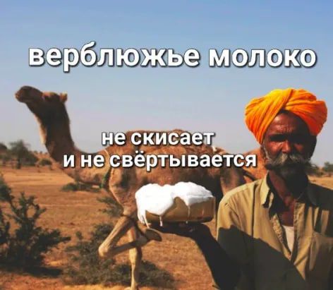 взрблюжээ ьшшэю