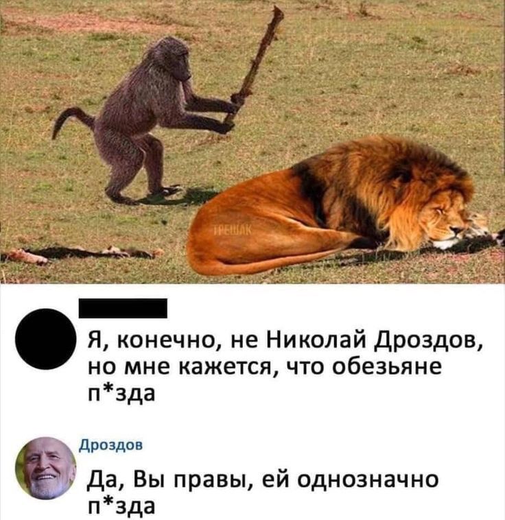 Я конечно не Николай дроздов но мне кажется что обезьяне пзда дроздо да Вы правы ей однозначно пзда