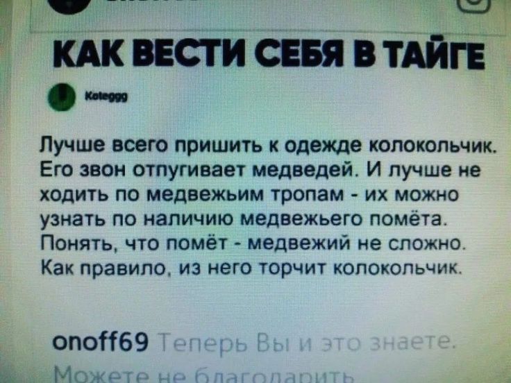 Лучше всего пришить одежде копокопьмик Его звон отпугивает медведей И пучшв не ходить по мвдвежьим тропам их можно узнауь по наличию Медвежьего помета Потап что помёт медвежий не сложно Как правило и него торчиг колокопьчик опоНбЭ Е Мьль _