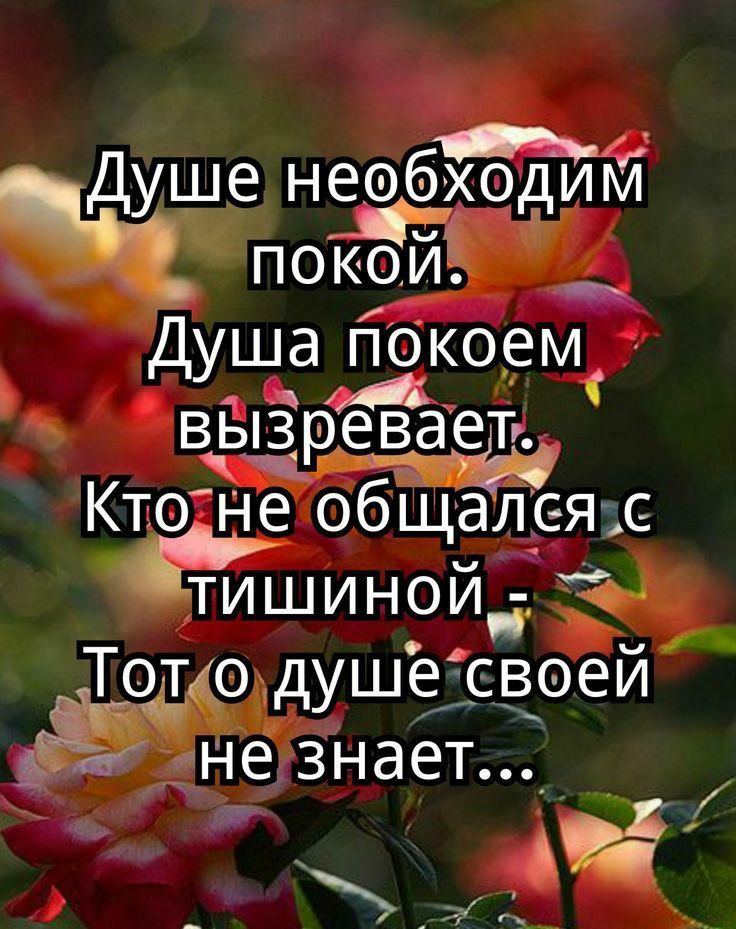ел Х ОВ щ с _ 1е Н Е аГа 5 ЁЮеаИАгь бйошЩОе ОВО Е о Э ЭуЩЬ4 Х т о с 5 2 ПШ_цВцешд оВАа е ЛУ_ВЗОТП _Ш_ 5 К нелзнает Е