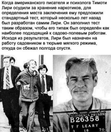 Когда ниериншою настоял на психологи Тииоги Пири осудили за храиеиие паркогиков для определения места эякпкнвиип ему прщпжипи стандартный твсп цоюрый несколько пет назад был разработан самим Пири Он заполнил чес гнкии образом чтбы от пяти был опредапви как наиболее пщхпдящий садовополевым работи Исходя из рвзупьтатв Пири был назначен на работу садовником трьие мягкого рвжиин откуда ои сбежал полго