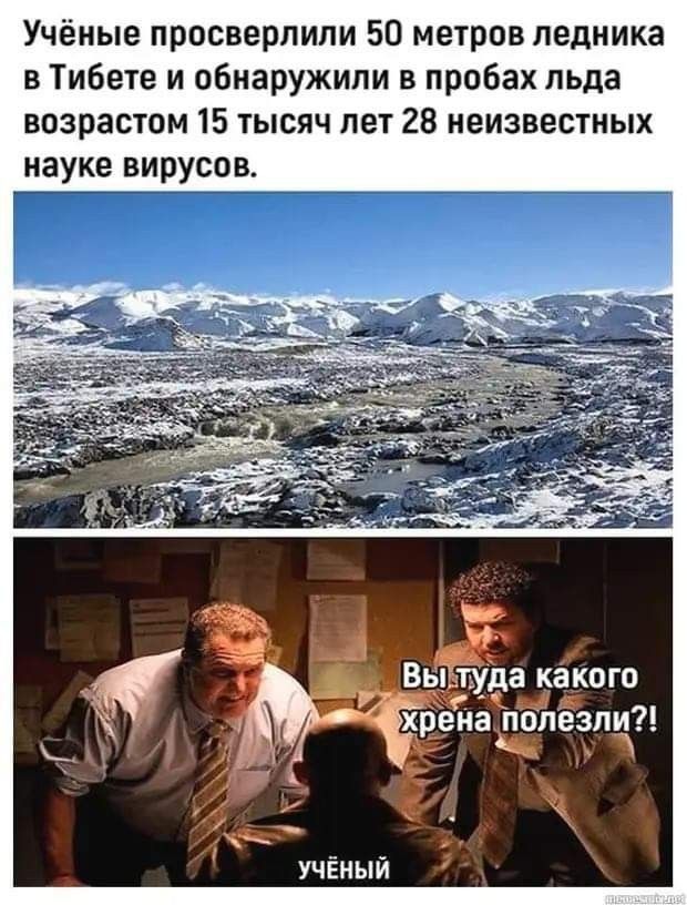 Учёные просверпипи 50 метров ледника в Тибете и обнаружили в пробах льда возрастом 15 тысяч лет 28 неизвестных науке вирусов