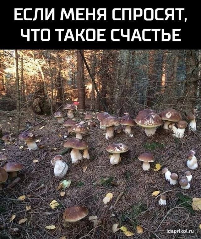 ЕСЛИ МЕНЯ СПРОСЯТ ЧТО ТАКОЕ СЧАСТЬЕ аг