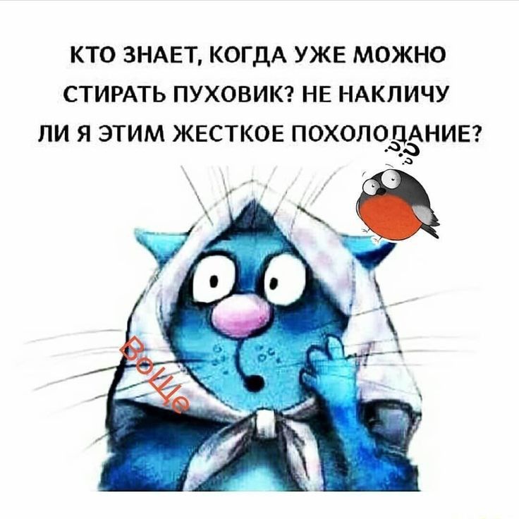 КТО ЗНАЕТ КОГДА УЖЕ МОЖНО СТИРАТЬ ПУХОВИК НЕ НАКЛИЧУ ПИ Я ЭТИМ ЖЕСТКОЕ ПОХОЛОДЁНИЕ