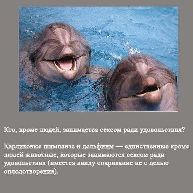 Щмяшищтшмтюпш щитесщшшщсщ щш шпцщшлршпсшп