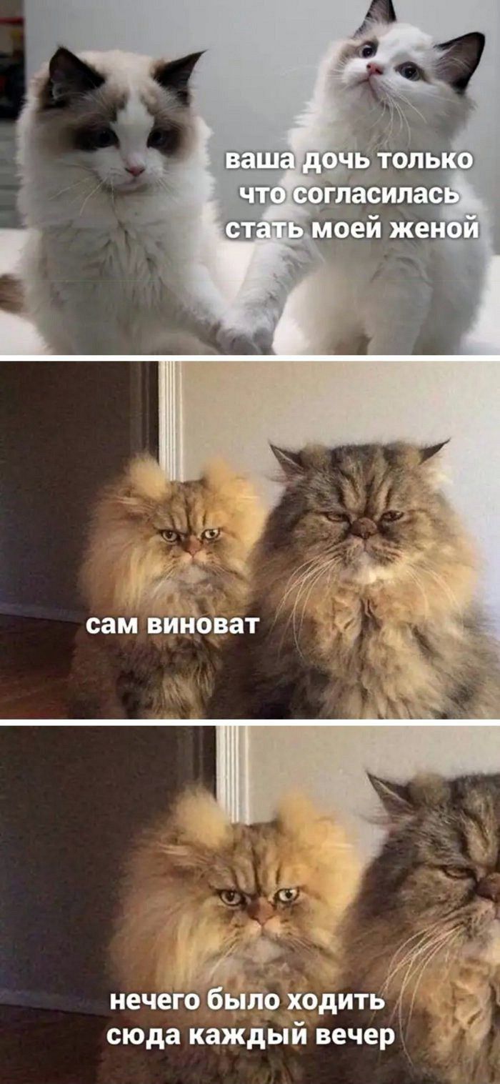 нечего было ходить сюда каждый вечер _