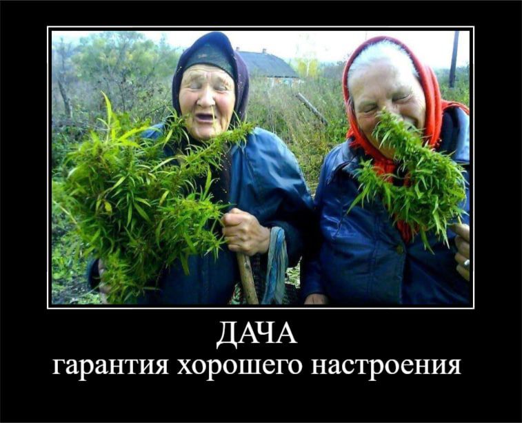 гарантия хорошего настроения