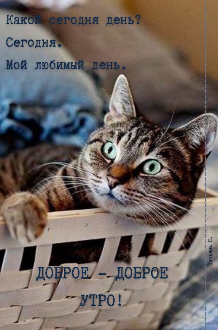 0 05 довго Яр126