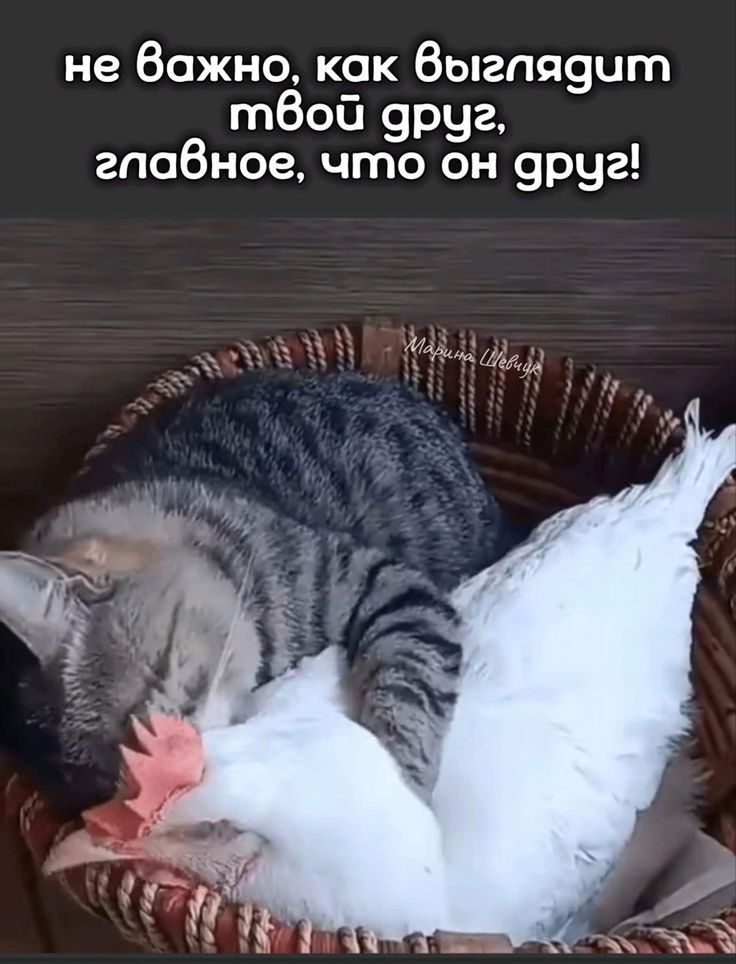 не Важно как 6ыгпя9ит тбой 9руг гпабное что он 9руг