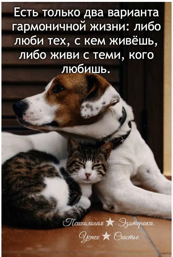 Есть только два варианта гармоничной жизни либо люби тех с кем живёшь либо живи с теми кого любишь