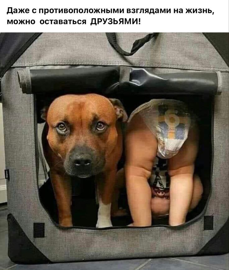 даже противоположными взглядами на жизнь можно оставаться ДРУЗЬЯМИ