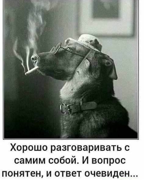 Хорошо разговаривать с самим собой И вопрос понятен и ответ очевиден