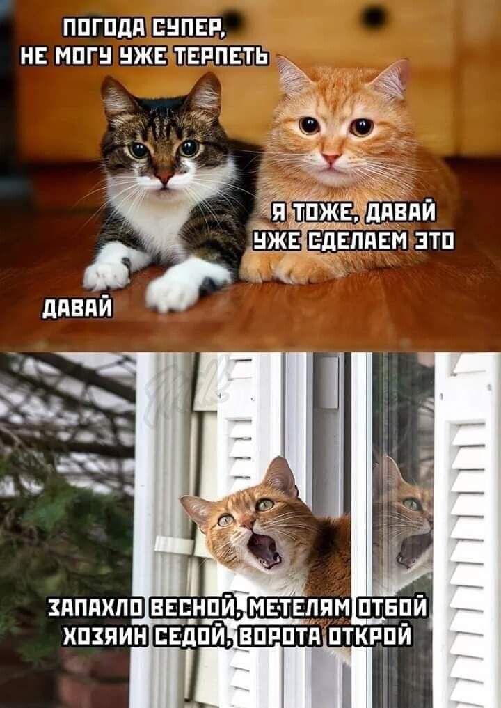 ППГПдП ЕНПЕР НЕ МПГ ЖЕ ТЕРПЕТЬ