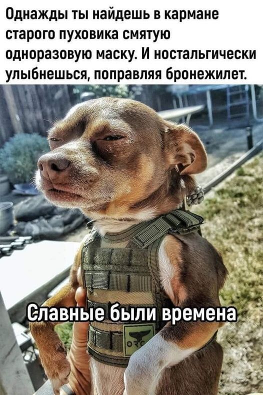 Однажды ТЫ найдешь В кармане старого пуховика СМЯТУЮ одноразовую маску И ностальгически улыбнешься поправляя броне_жипет _ м