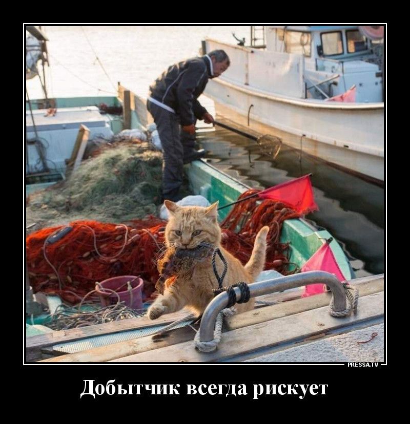 добыт и всегда рискует