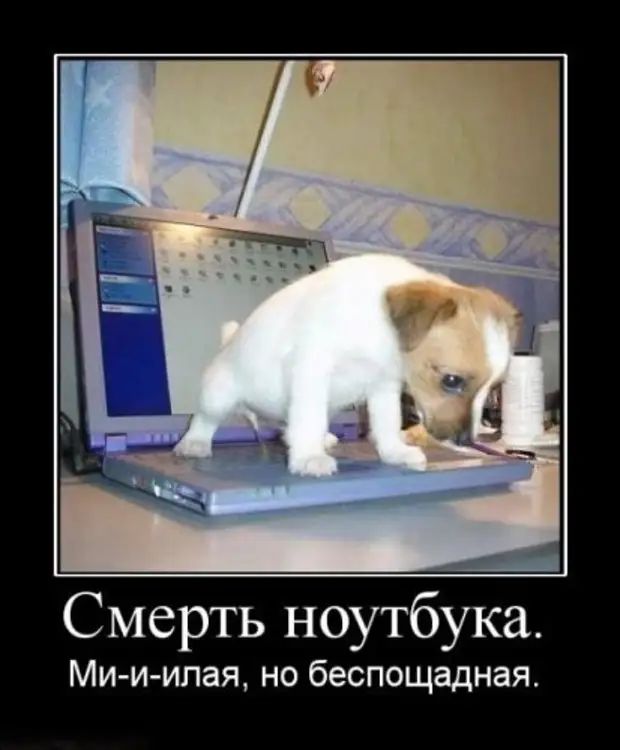 Смерть ноутбука Ми иипая но беспощадная