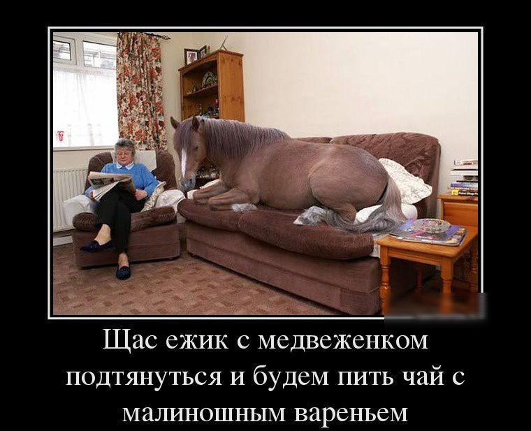 Щас ежик с медвеженком подтянуться и будем пить чай с малиношпым вареньем