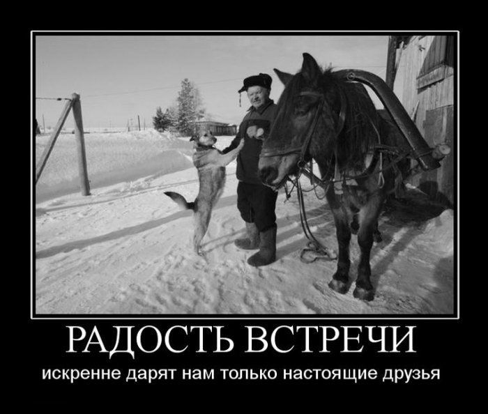 РАДОСТЬ ВСТРЕЧИ искренне дарят нам только настоящие дрУЗья