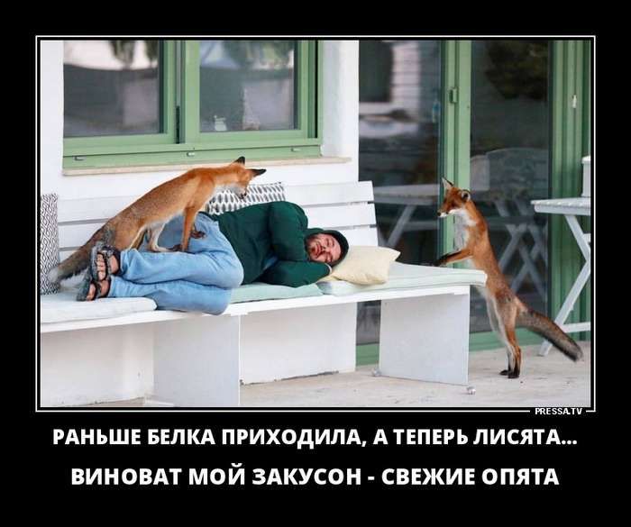 РАНЬШЕ БЕПКА приходим АТЕПЕРЬ писни ВИНОВАТ МОЙ ЗАКУСОН СВЕЖИЕ ОПЯТА