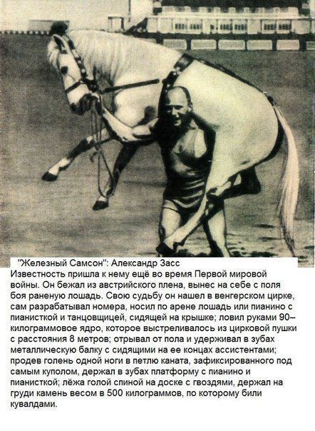 Железный Самсон Ащр Изи шесть приш к нему ещ о проти Пер ой миропй пейиы Си и вшридшш пыип ин сибе пипл Бол рпценую пошшь он судьбу ои нашел в веигерском цирке пм різрабагывіл номера ими по грехе лошадь или планина пивииспой и инна шлиц сидящей ив крыши попил рупии во киногрпммоюе ядро хитро пыстрцпиплось и цирю ой пушки равно в мире игры ал ш мм и уд вжипал зубы меіалпичоскую банку сидящими из ее